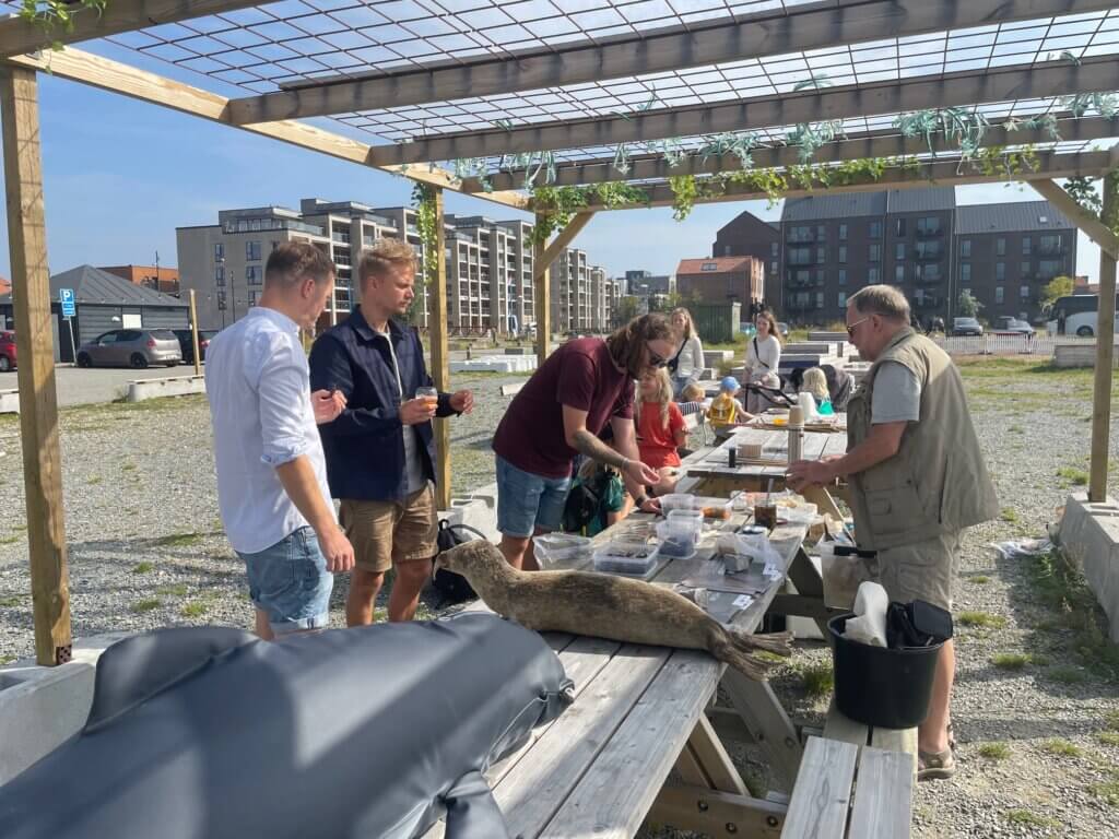 Menschen stehen draußen an Parktischen und schauen sich unterschiedliche Meeresbewohner an.