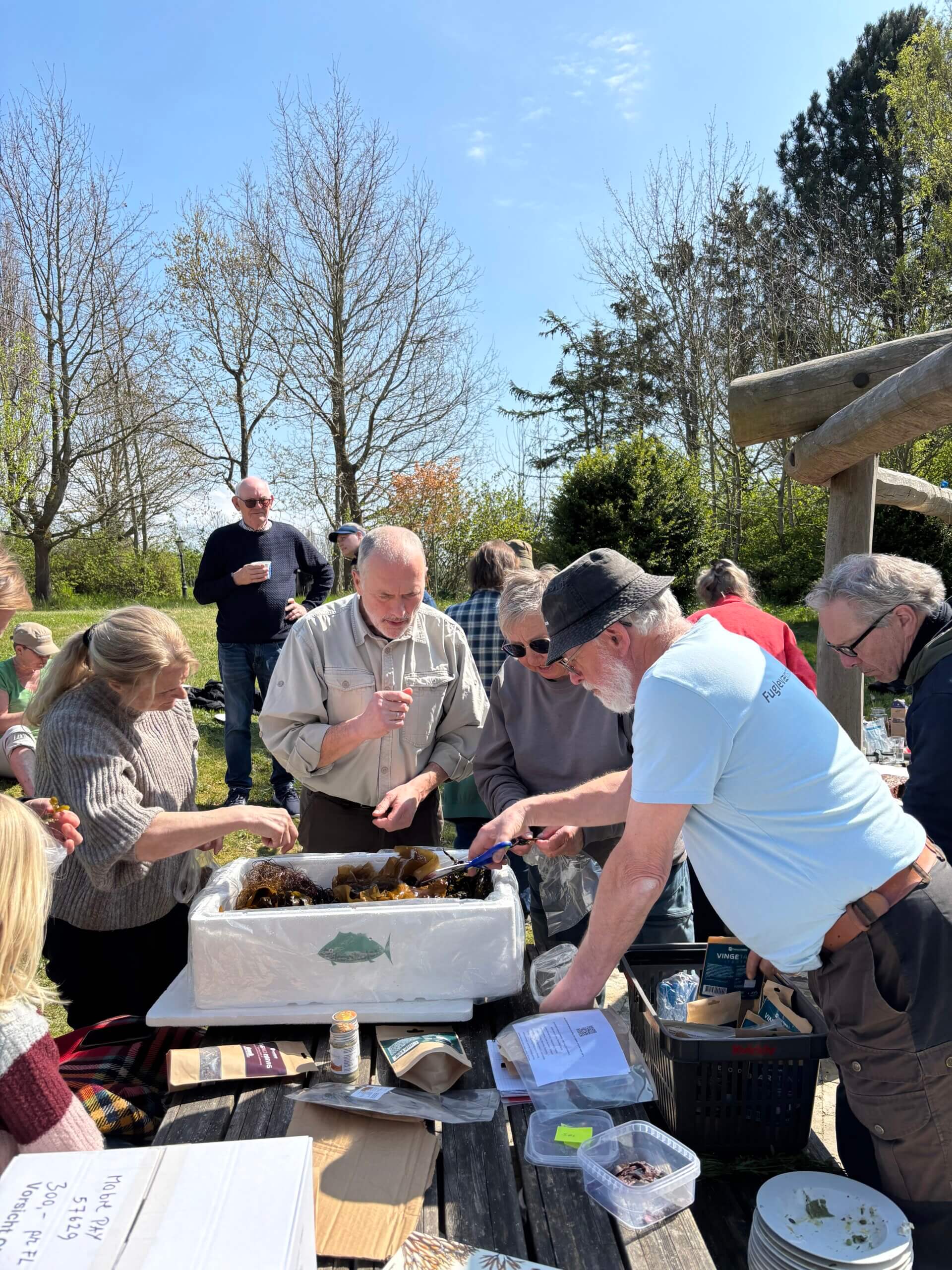 People standing outside on a sunny day surrounding a box full of algae.