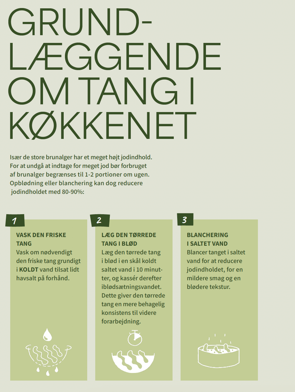 Screenshot-2024-12-10-at-10.43.45